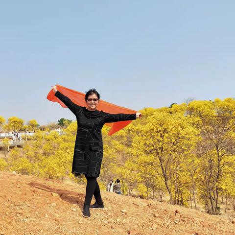 2021.2.20，南宁青秀山公园的风铃谷。