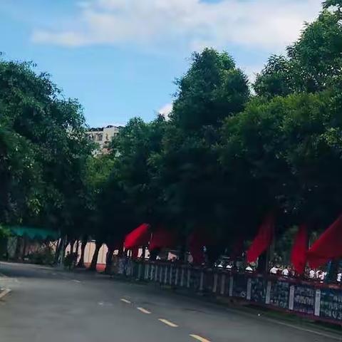 云端聚力润春芽 同心战疫向未来