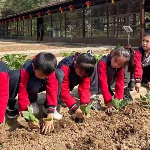 【碑林教育】小雁塔小学2022年“五一劳动节”假期疫情防控致家长的一封信