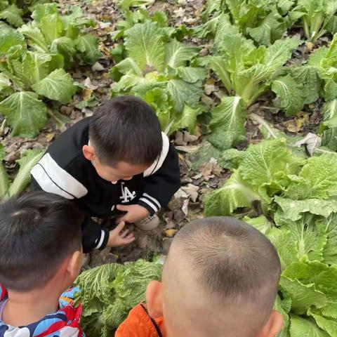 七中专附属幼儿园                                  小二班       一周精彩回顾