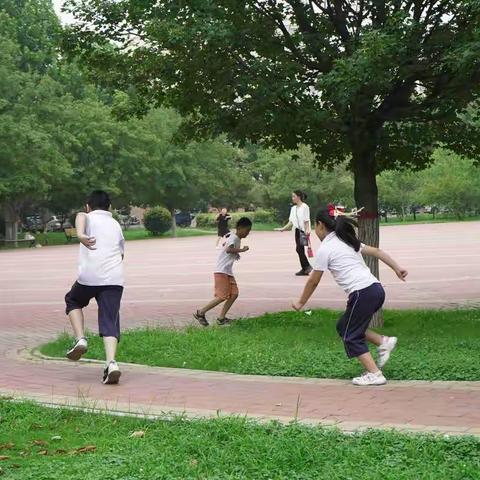 夏日午后，那一起奔跑的伙伴。