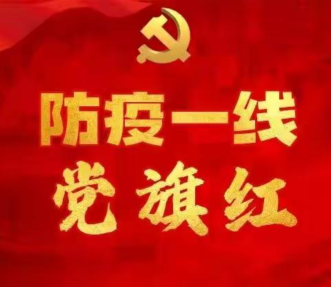 逆行而上 不忘初心—丛台区安居实验小学党员教师贾小利、党员马慧香流调工作纪实