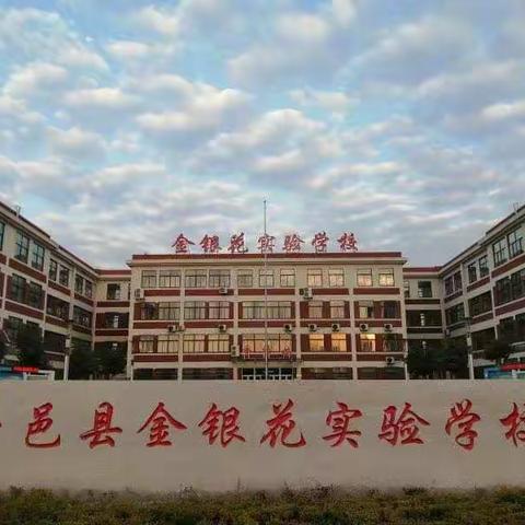 引领在线教学 倾心打造政史地精彩课堂——平邑县金银花实验学校线上教学小记