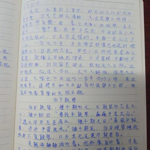 申子墨假期作业