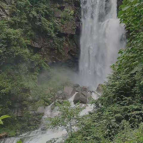 千姿百态话飞鸟