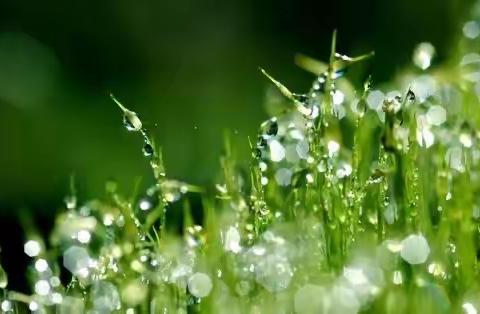 防疫不防学，隔校不隔教——黄沙岭小学线上学习Day29