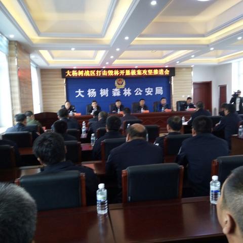 2017年9月13日来大杨树打击毁林开荒会战纪实