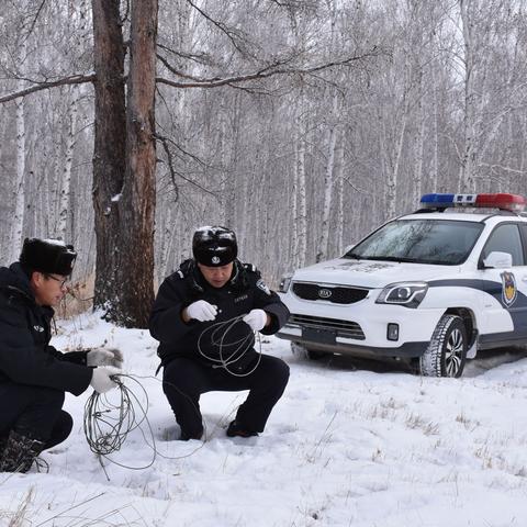 根河森林公安局历年来救助的野生动物