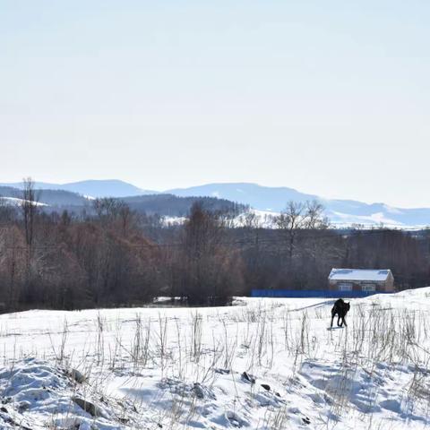 工作环境中的大自然与生活