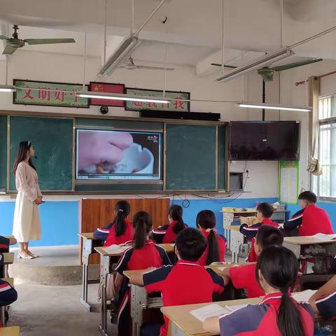 拒绝烟酒，从我做起——兴业县大平山镇龙泉中心小学道德与法治课教研活动