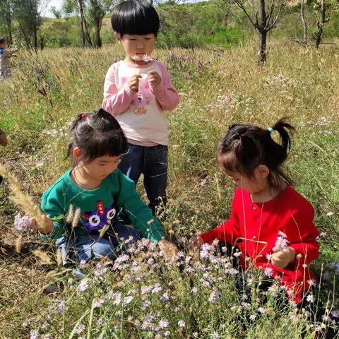 木子幼儿园小一班韩依萌宝贝