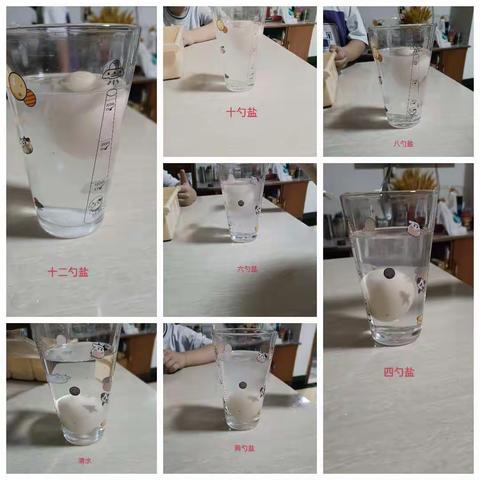科学实验充实我的暑期生活  新生三组 钱嘉煊