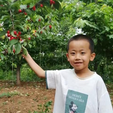 我是张敬腾，我的2021快乐暑假！！