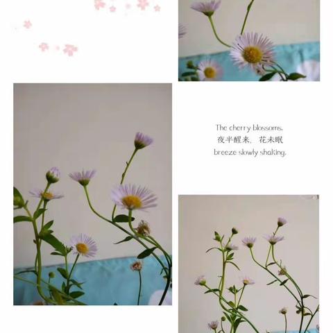 人间情长，我与母亲的烟火家常