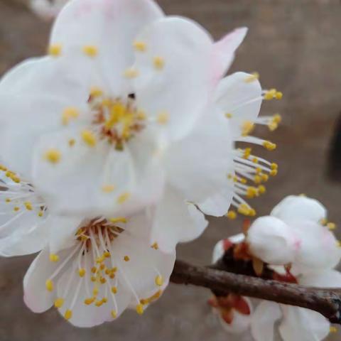 美好的太谷一日游，