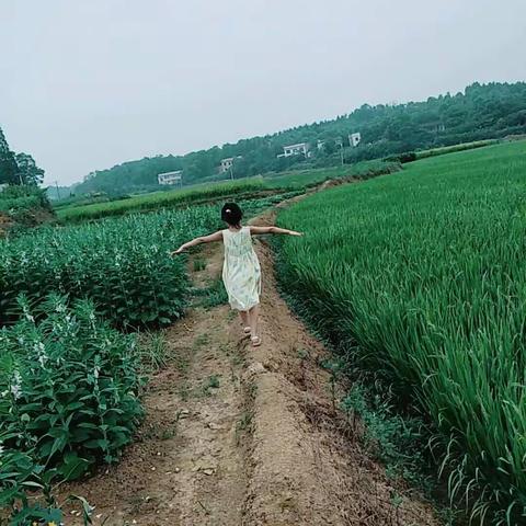 张歆婷田园生活