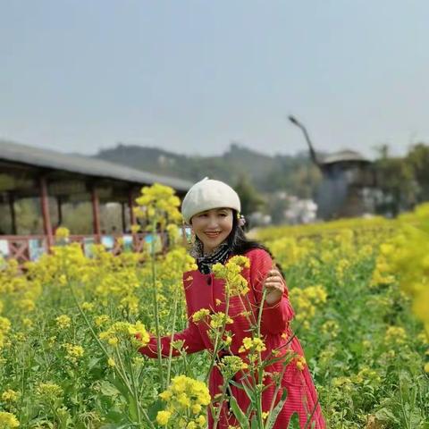 油菜花开的季节（3月2日）