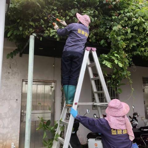 金鹿物业生态环境监测中心2023年4月14日工作简报