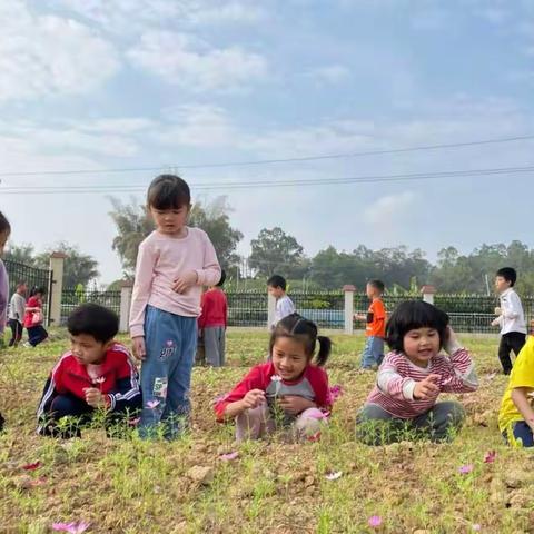 【西江幼儿园】户外活动篇