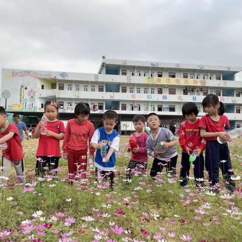 【西江幼儿园】春分——户外活动