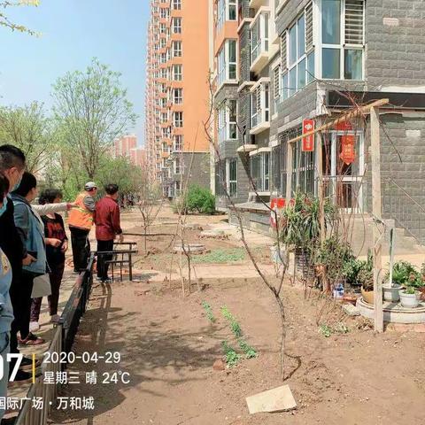 倡导文明 “还绿于民”