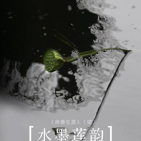 禅意生莲（续）