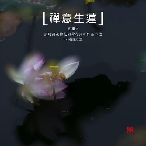 禅意生莲