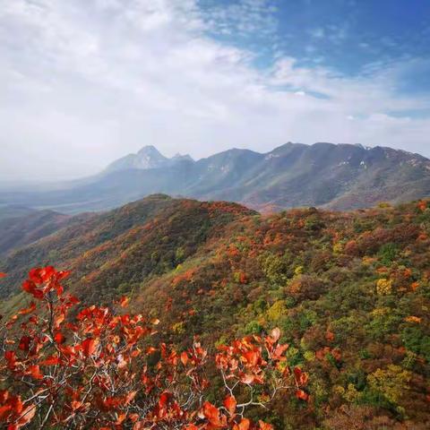 秋色斑斓层林染，重阳登高上嵩山