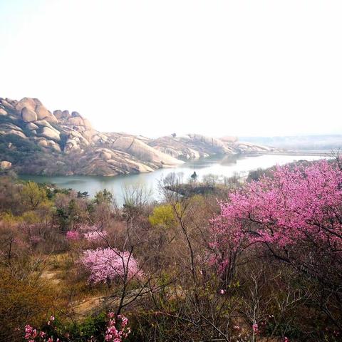 谷深竹密举步艰，野线穿越嵖岈山