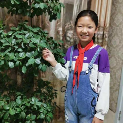 诗书润智、礼乐涵品