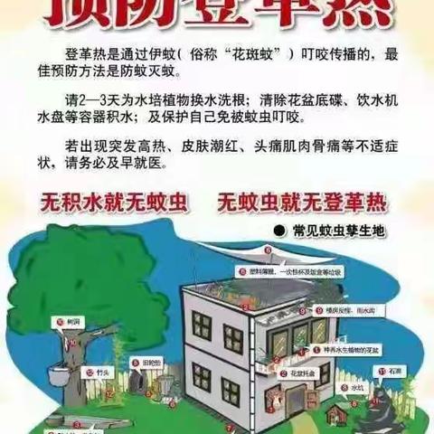 三溪小学预防登革热