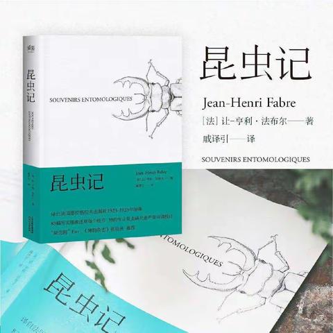 “虫”林探秘——三年级语文组读书月活动