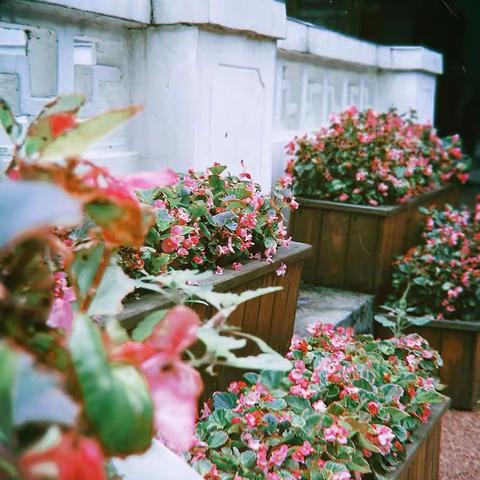 西安交大幼儿园小记