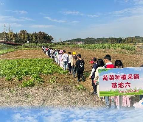 等风来，不如追风去——我们去研学啦