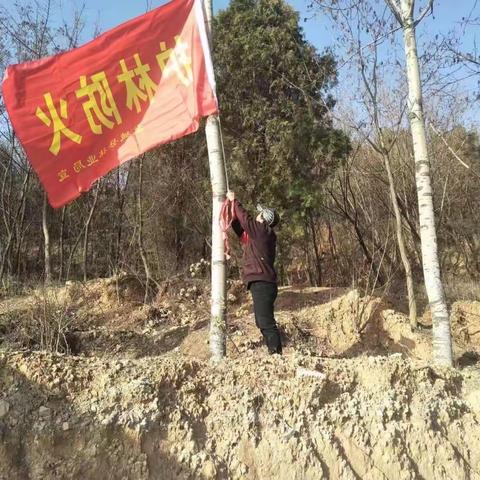 护林防火 我们在行动