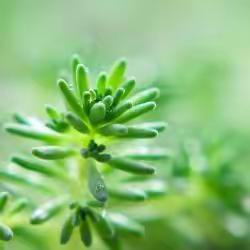 未来之星教育2021年清明节放假通知