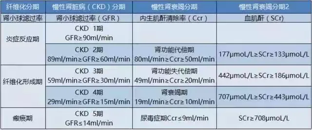 降肌酐3种方式效果不错