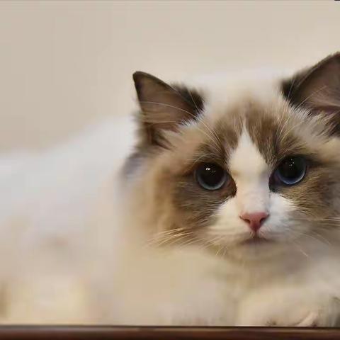 老久17913828的美篇