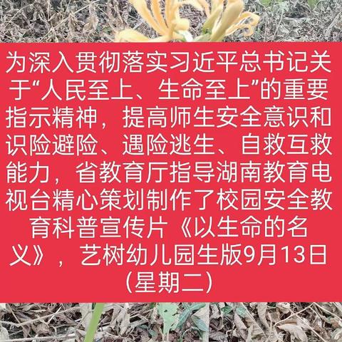 《以生命的名义》活动播放