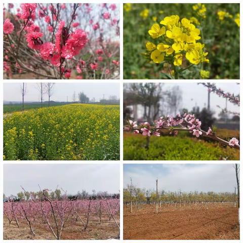 人居环境大整治  城关镇在行动（一）