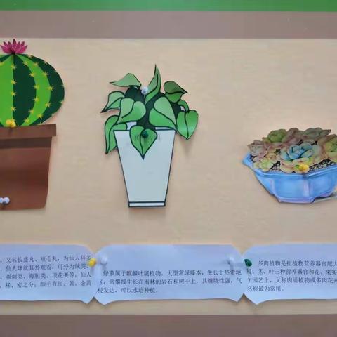 华安学校三年级公益课程《弟子规》