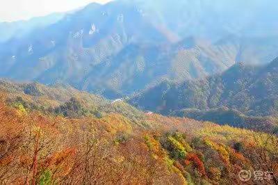 高峰镇磨里沟小学 “保护秦岭生态，爱我大美家园”系列主题活动