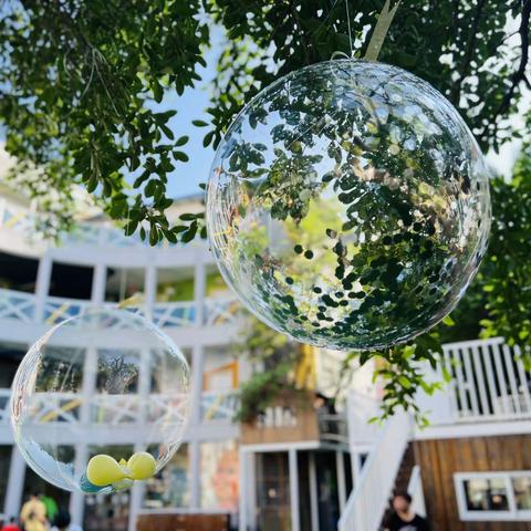 金沙幼儿园中班第一、二周周重点