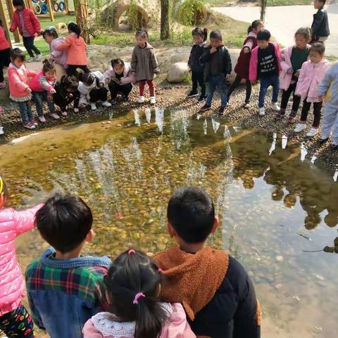 春暖花开，寻找春天的踪迹