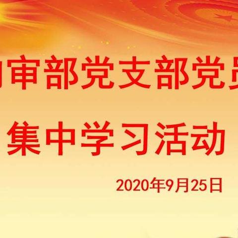 深入落实“铸魂工程”，内审部党支部党员集中学习活动（2020.09.25）