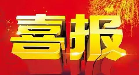 内审部荣获“全国内部审计先进集体”荣誉称号