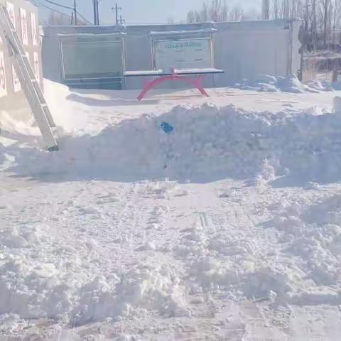 天寒雪飘，情暖校园