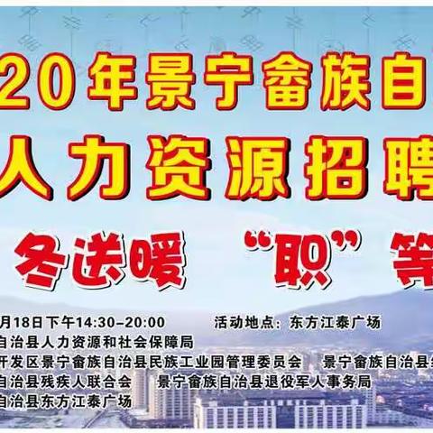 2020年景宁畲族自治县冬季人力资源招聘夜市圆满落幕