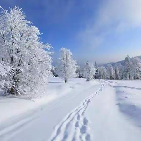 记录2022年的第一场雪