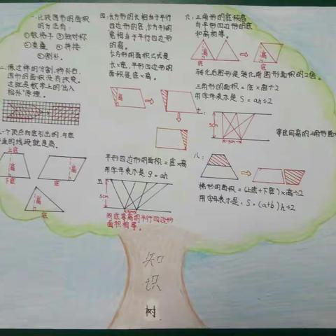 五、十班第四单元知识梳理